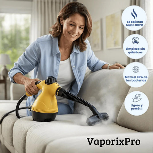 Limpiador desinfectante a vapor